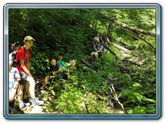 IMG_20250625_144309