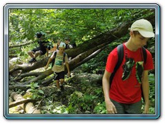 IMG_20250625_144546