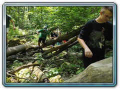 IMG_20250625_144604