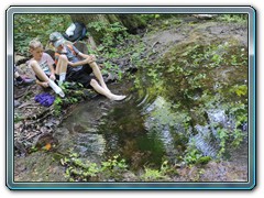 IMG_20250625_154214