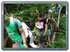 IMG_20250625_160012