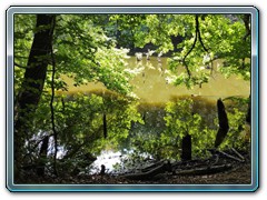 IMG_20250629_143926